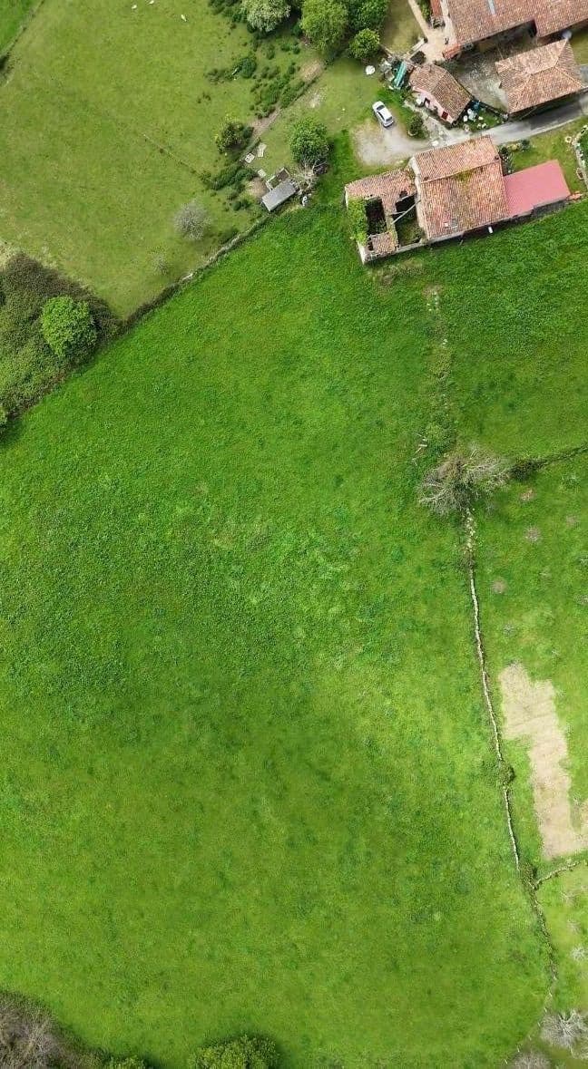 Building plot in San Justo – 19,000 sunny m² for €90,000 (Ref 00110) · photo 2