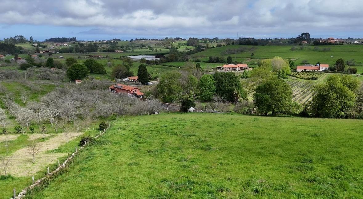 Building plot in San Justo – 19,000 sunny m² for €90,000 (Ref 00110) · photo 3