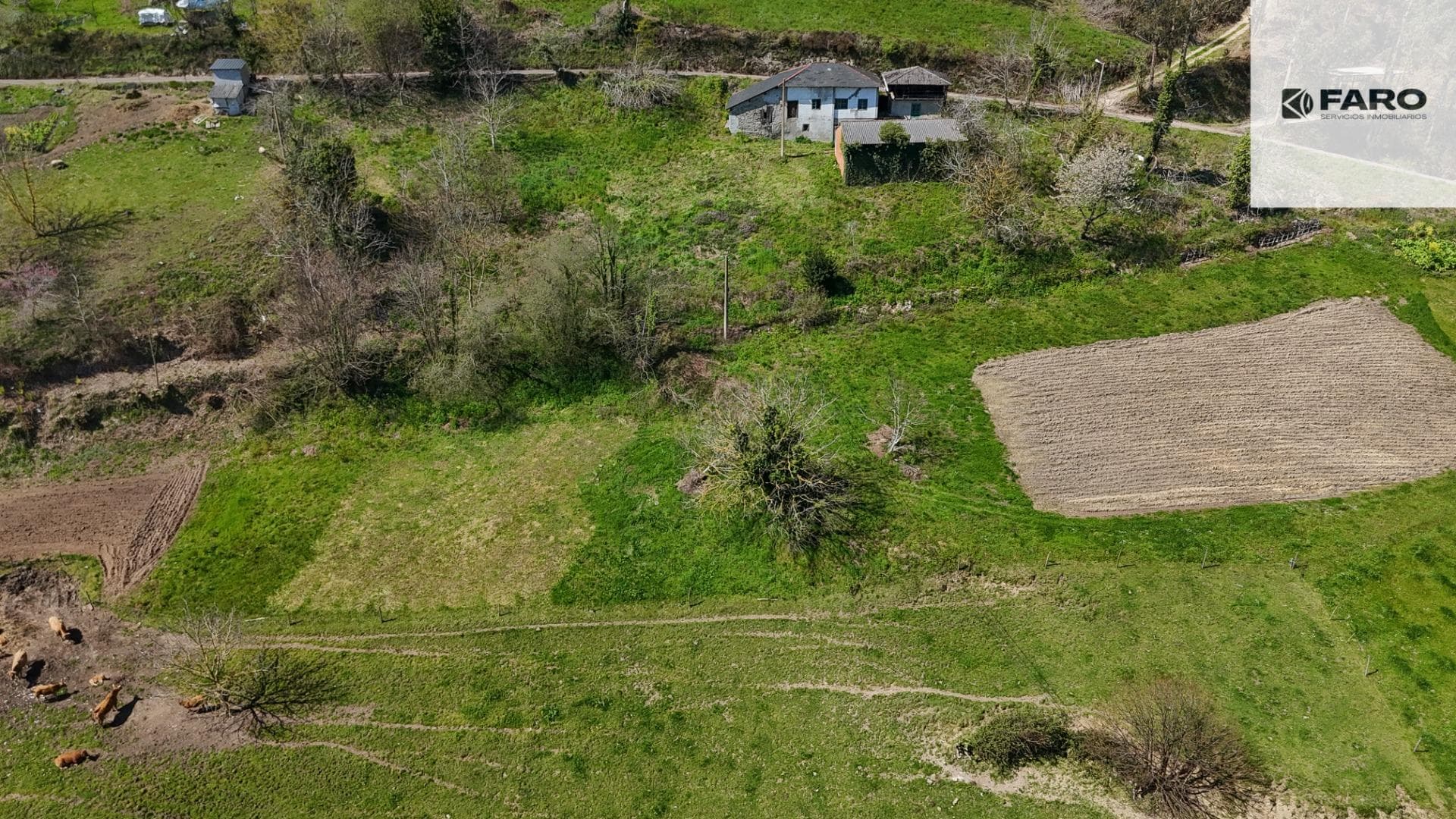 House with 4,400 m² of land in Valle de Paredes (Valdés) – a great renovation opportunity (Ref 00109) · photo 3